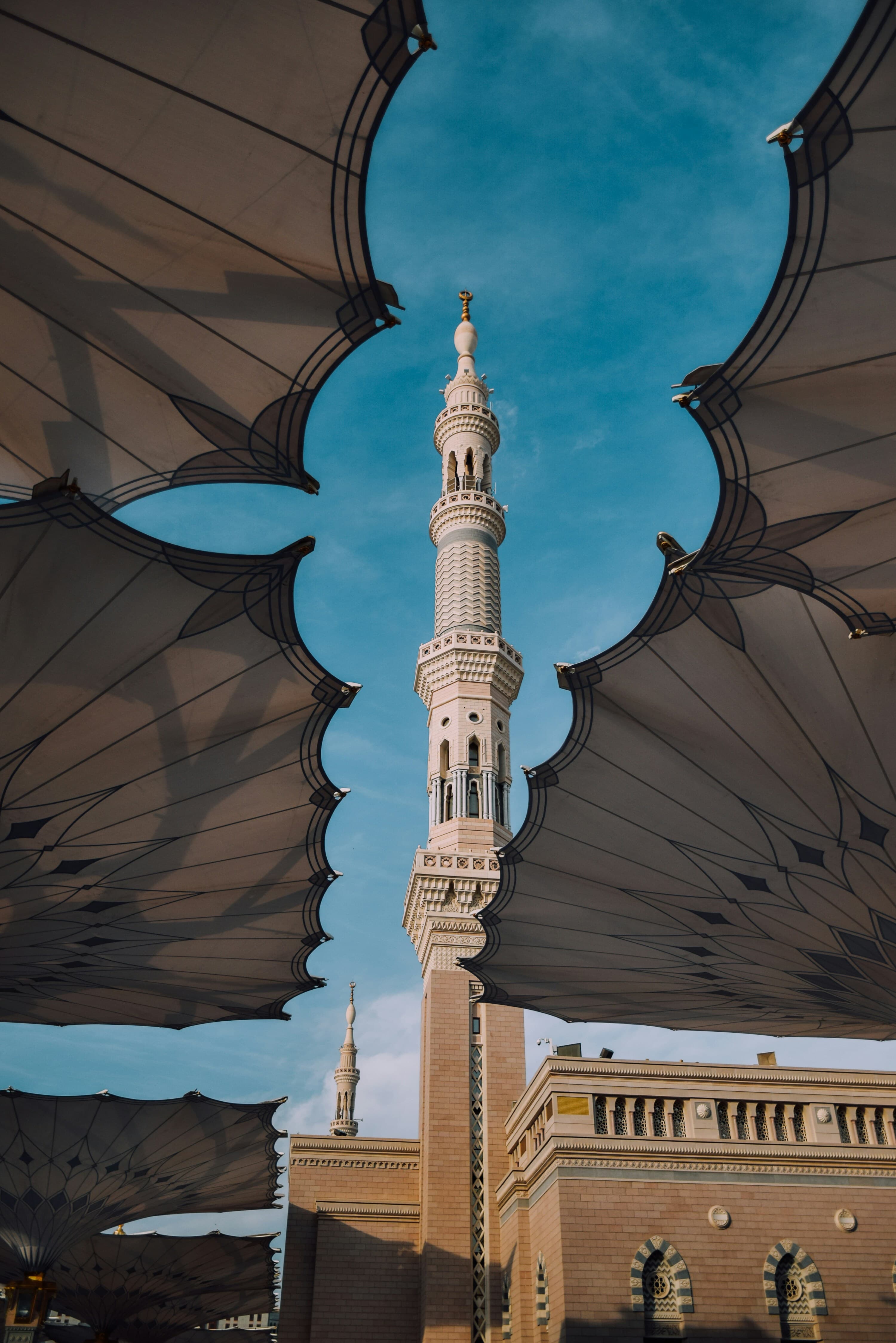 المدينة المنورة