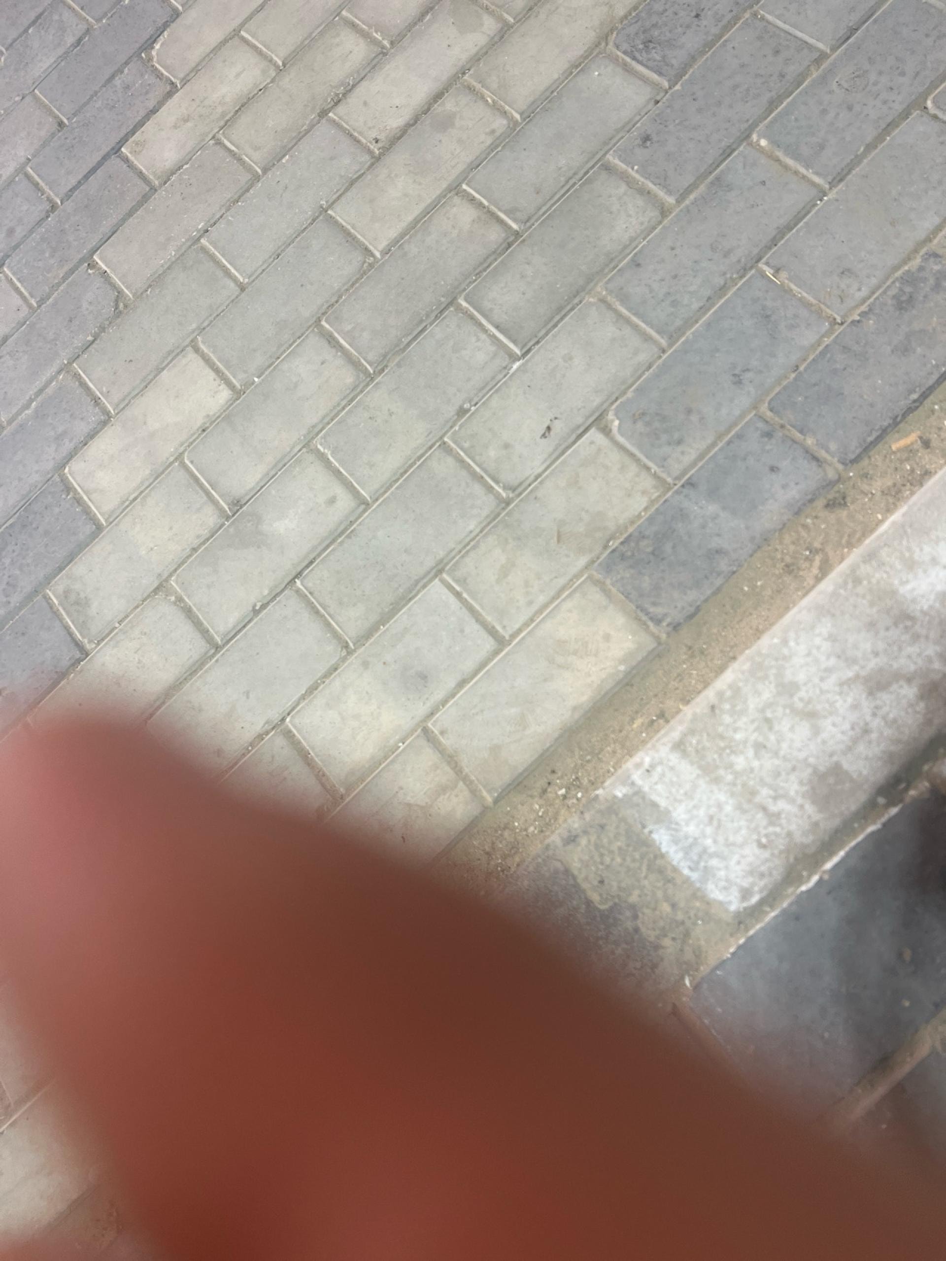 عصام 5