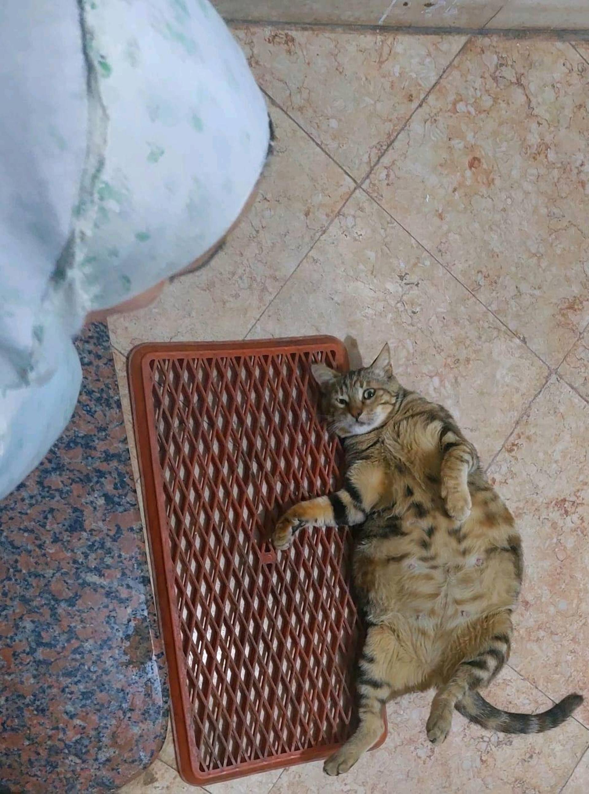 hhhh12 4